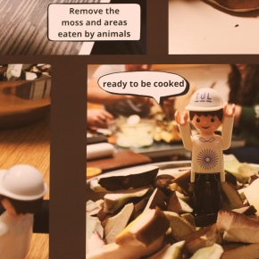 2025 - International day 2025 (Adam Pluhař)