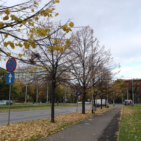 2025 - Wroclaw (Terka Gabča)